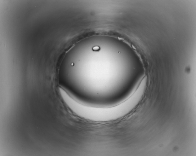 X0000103311445200809191907