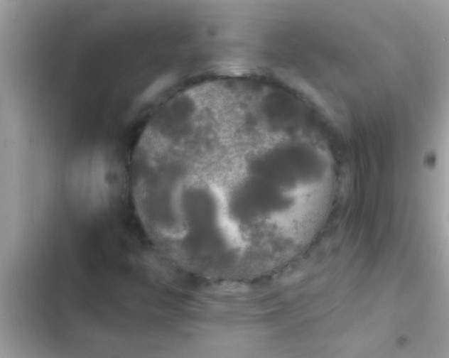 X0000103311446200809191907