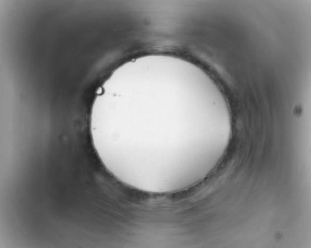 X0000103311447200809191907