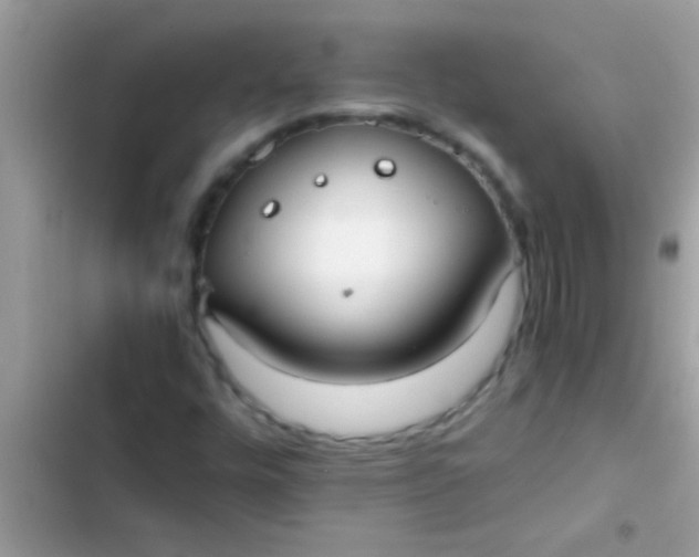 X0000103311448200809191907