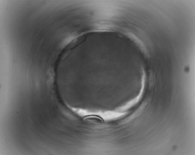 X0000103311449200809191907