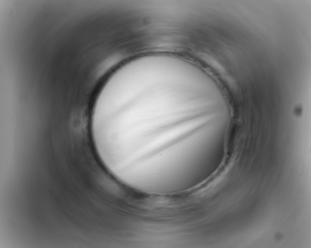 X0000103311450200809191907