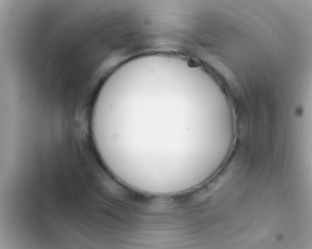 X0000103311451200809191907