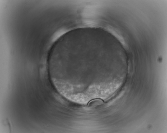 X0000103311453200809191907
