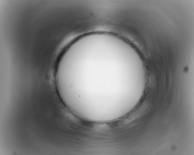X0000103311454200809191907