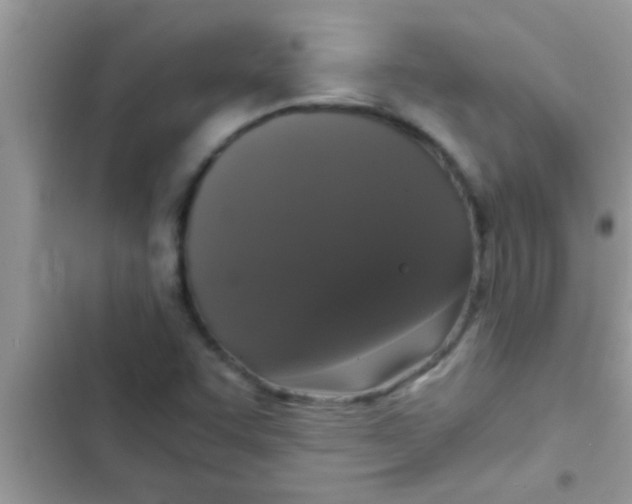 X0000103311455200809191907