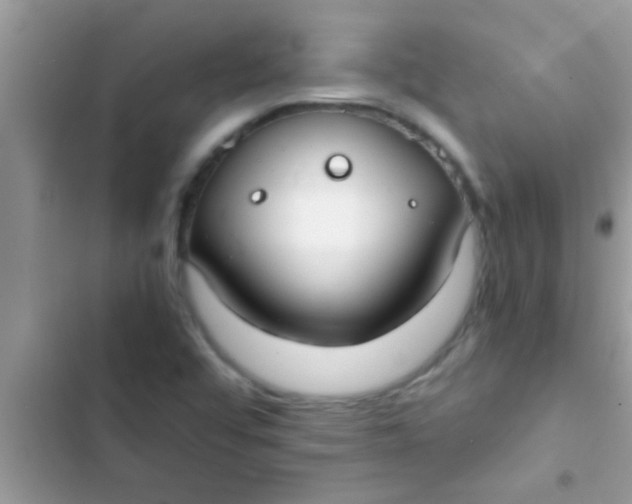 X0000103311456200809191907