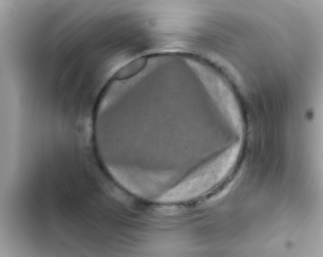 X0000103311457200809191907
