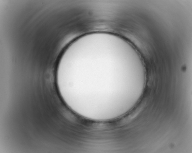 X0000103311458200809191907
