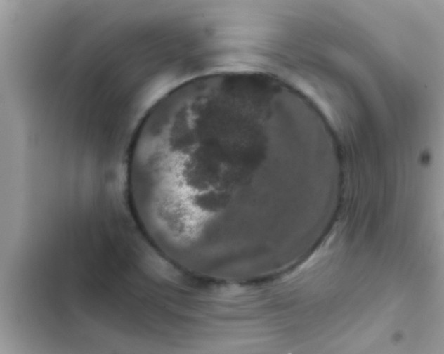 X0000103311459200809191907