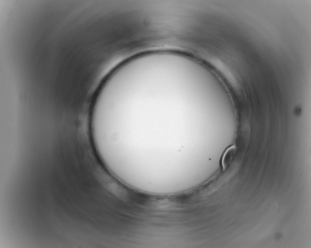 X0000103311460200809191907