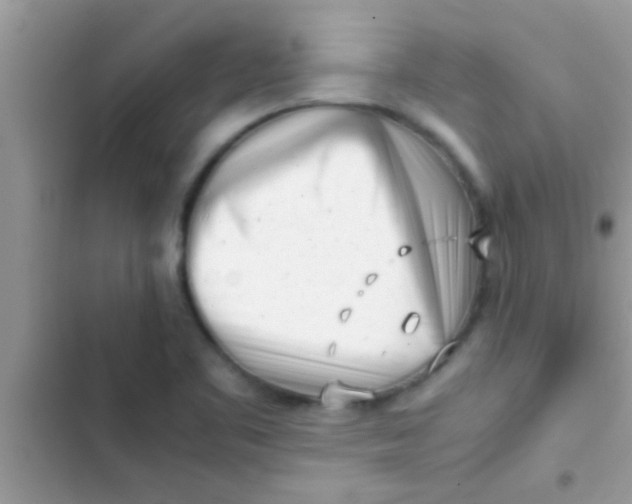 X0000103311461200809191907