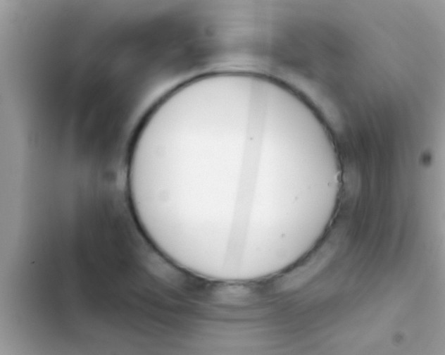 X0000103311462200809191907