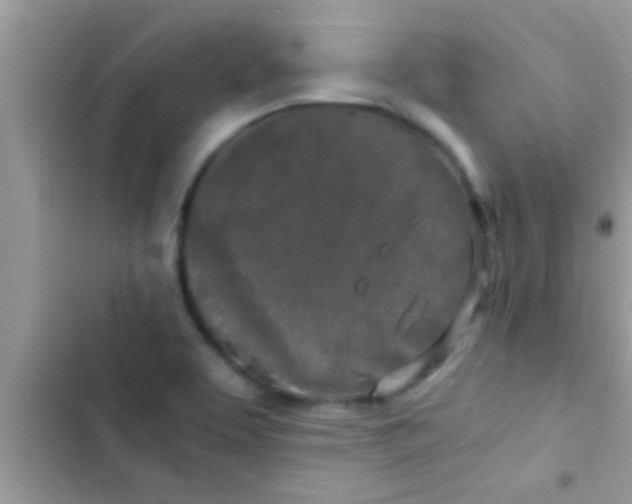 X0000103311463200809191907