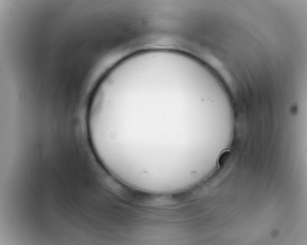 X0000103311464200809191907