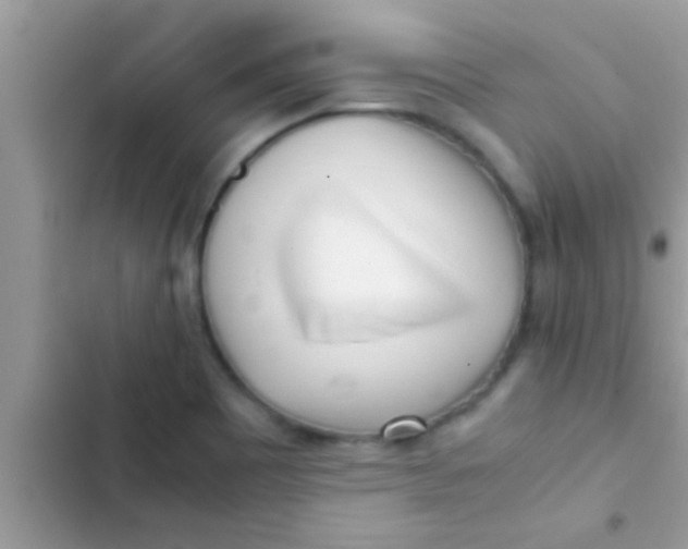 X0000103311465200809191907