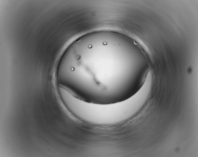 X0000103311468200809191907