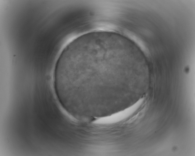 X0000103311471200809191907