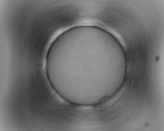 X0000103311472200809191907