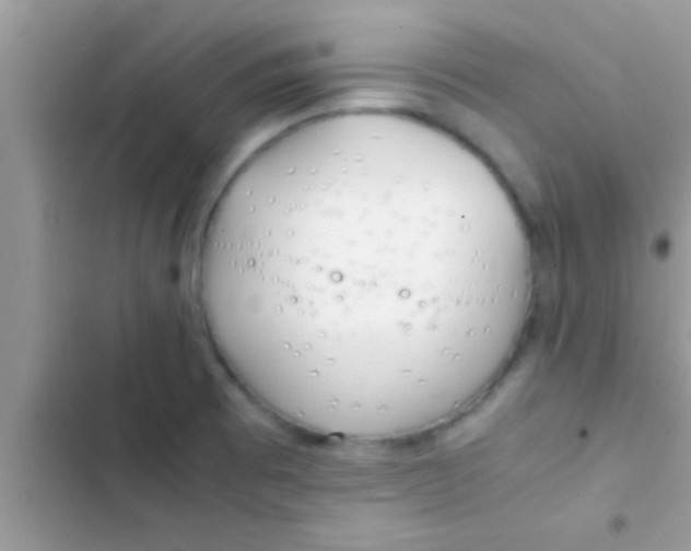 X0000103311473200809191907
