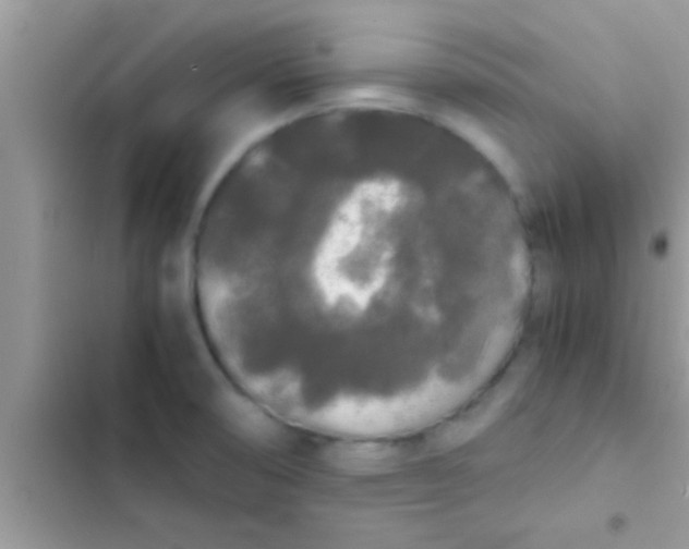 X0000103311474200809191907