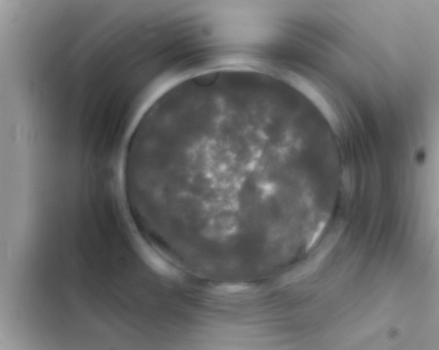 X0000103311482200809191907