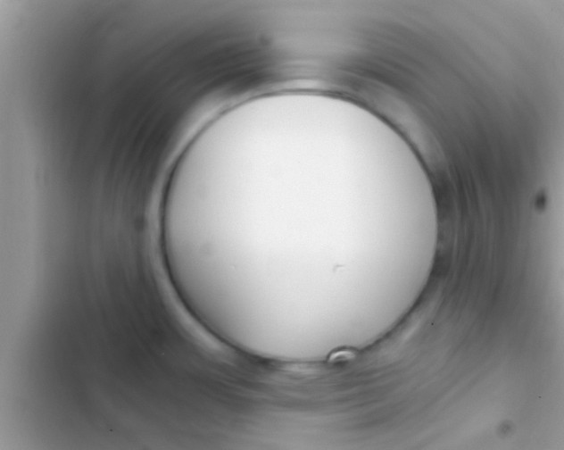 X0000103311483200809191907