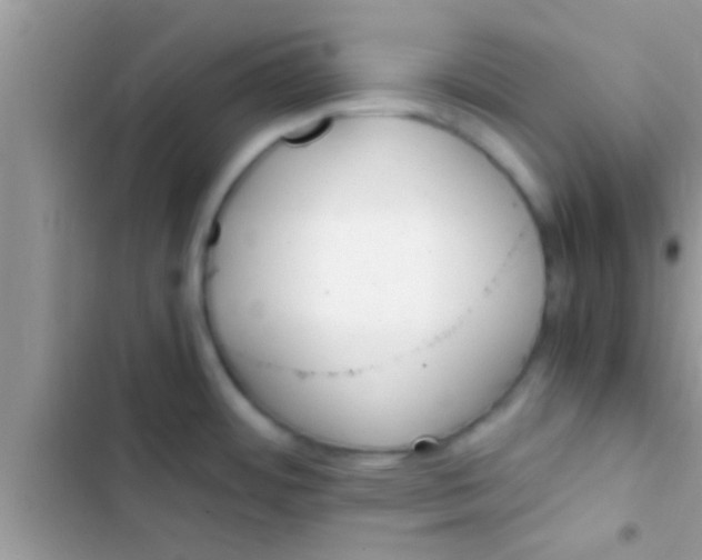 X0000103311484200809191906