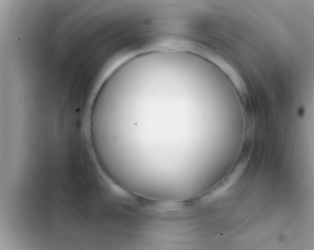 X0000103311486200809191906