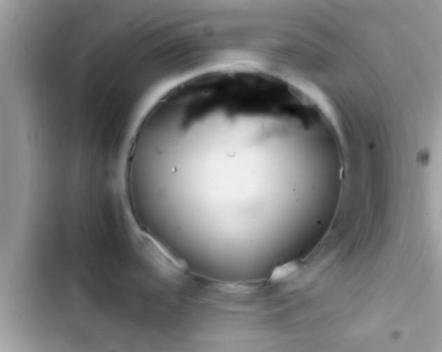 X0000103311488200809191906