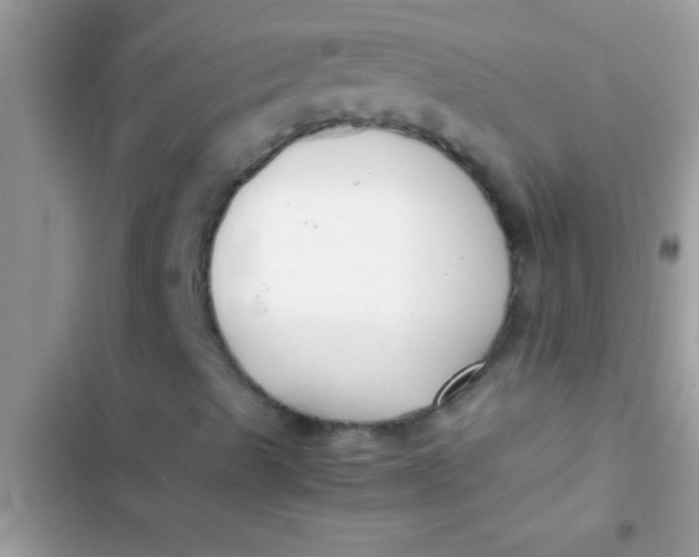 X0000103311489200809191906