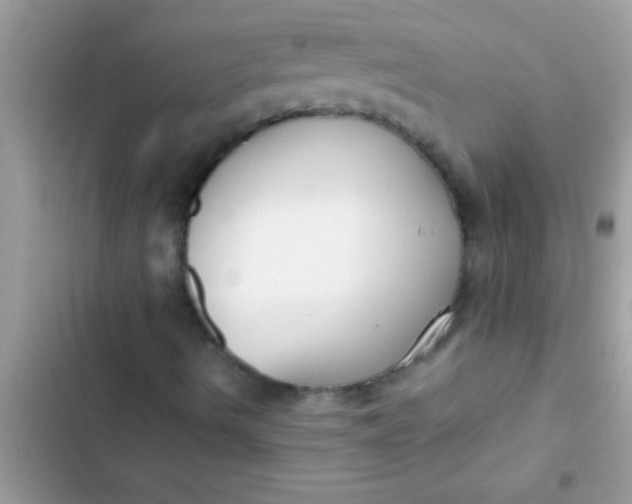 X0000103311490200809191906