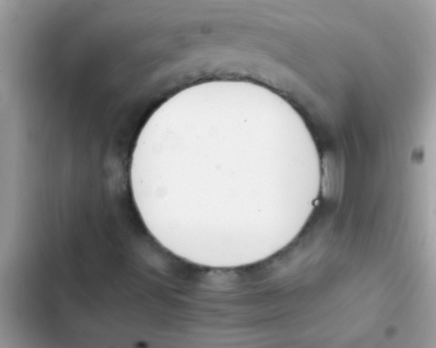 X0000103311491200809191906