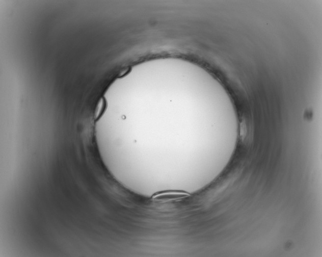 X0000103311492200809191906