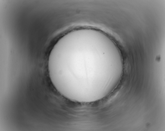 X0000103311494200809191906