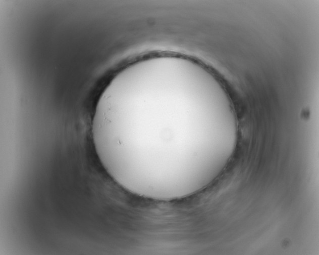 X0000103311495200809191906