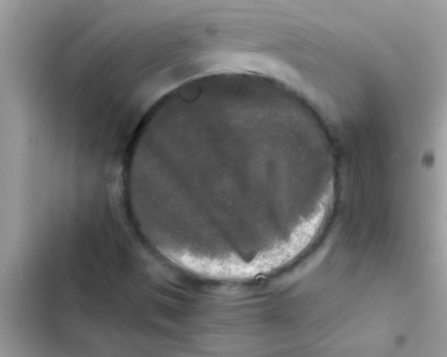 X0000103311497200809191906