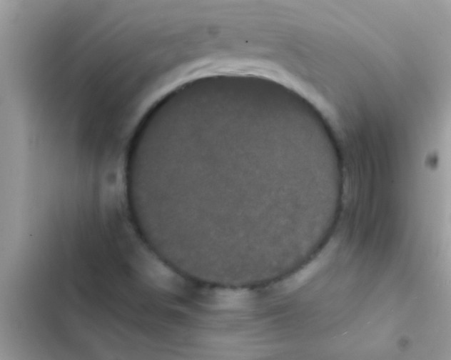 X0000103311498200809191906
