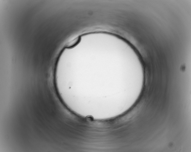 X0000103311500200809191906