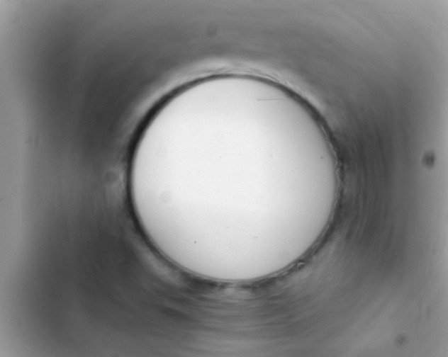 X0000103311503200809191906