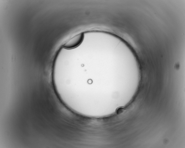 X0000103311504200809191906