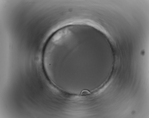 X0000103311506200809191906