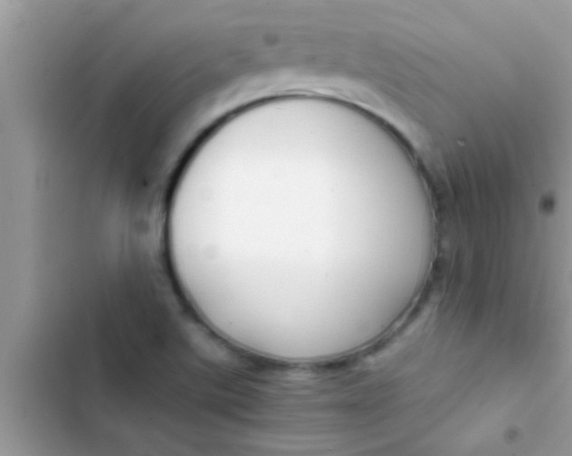 X0000103311507200809191906