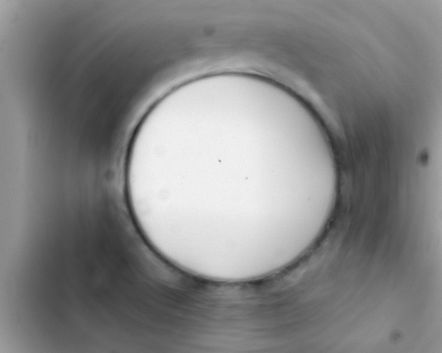 X0000103311512200809191906