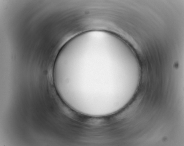 X0000103311513200809191906