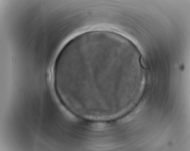 X0000103311515200809191906