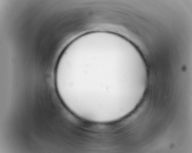 X0000103311517200809191906