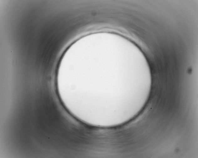X0000103311518200809191906