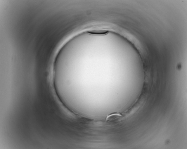 X0000103311520200809191906