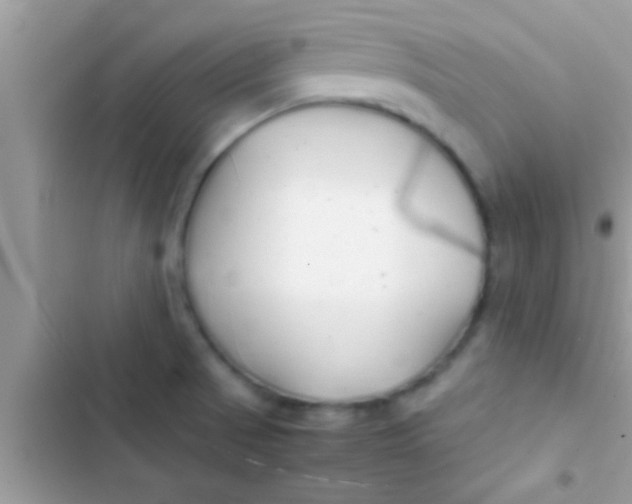 X0000103311521200809191906